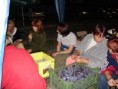 /album/a20051/trnky05-025-jpg/